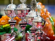 Istölt Frederikshavn 2014